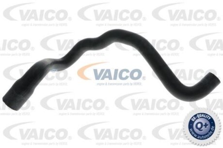 Шланг гумовий сист. охолоджен. VAICO V102810
