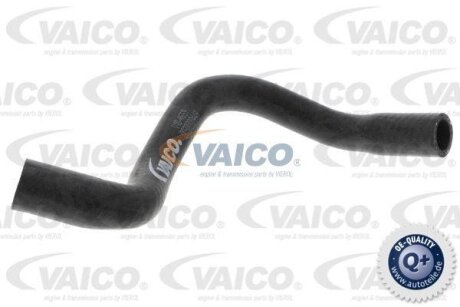 Шланг гумовий сист. охолоджен. VAICO V104659
