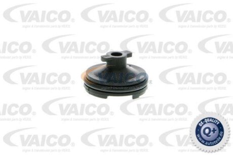 Болт зливу маслянного піддону VAICO V251116