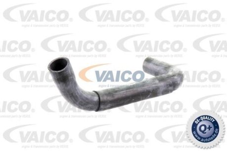 Шланг гумовий сист. охолоджен. VAICO V300718