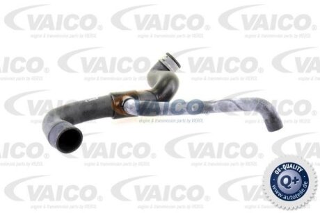 Шланг гумовий сист. охолоджен. VAICO V302232