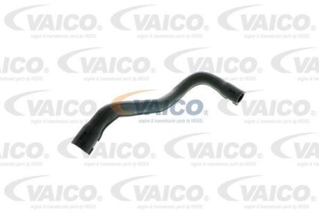 Шланг гумовий сист. охолоджен. VAICO V302477